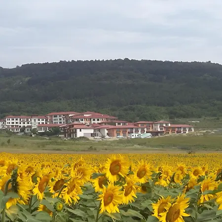 Harmony Hills Tomovi F34